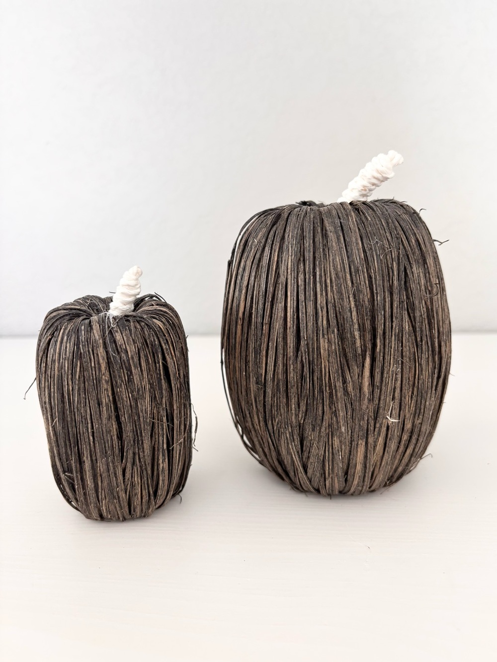 TARGET (2) Black Raffia Pumpkins
